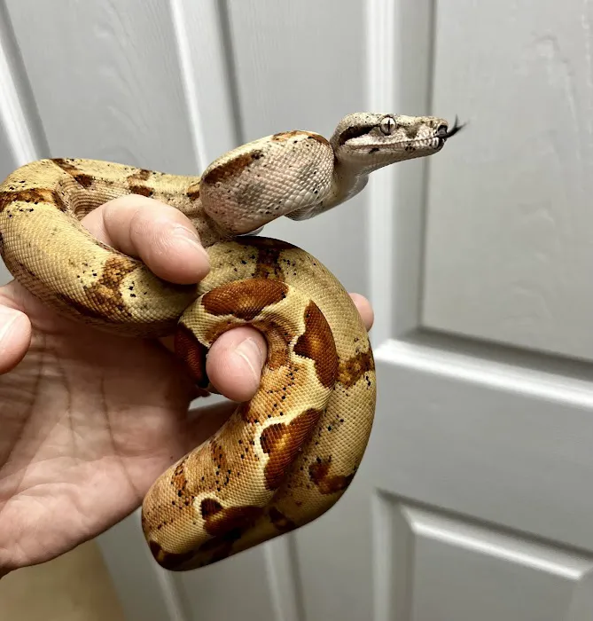 CjC Exotics, LLC 12