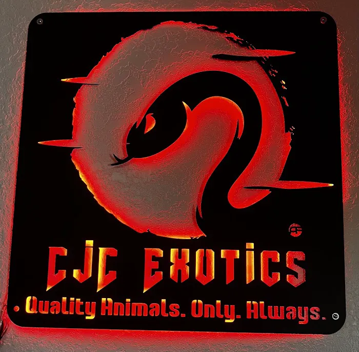 CjC Exotics, LLC 12