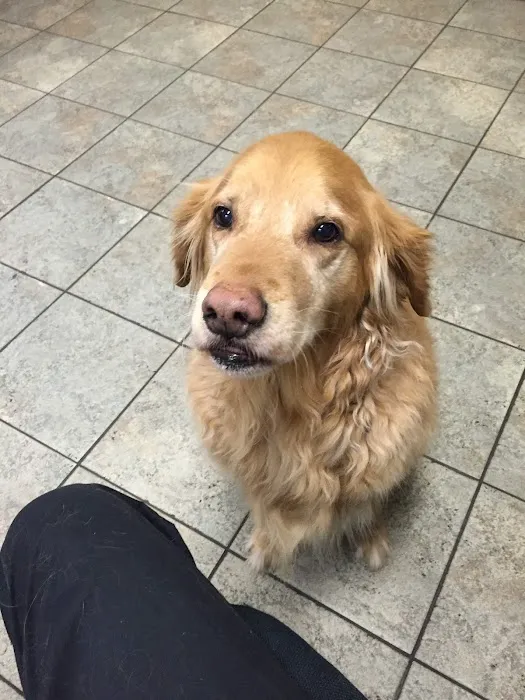 Blue Cross Animal Hospital 6