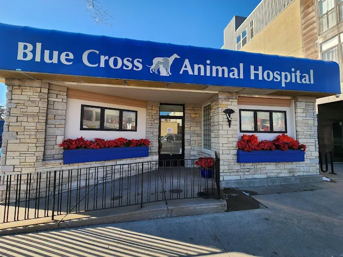 Blue Cross Animal Hospital 9