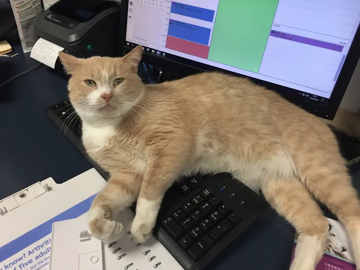 VCA Animal Care Hospital 5