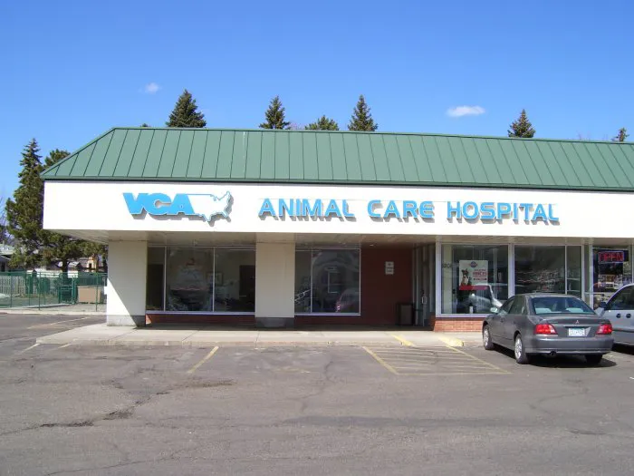 VCA Animal Care Hospital 6