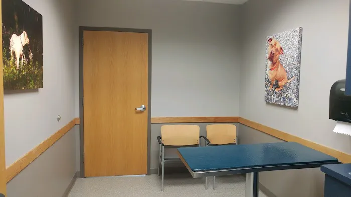 VCA Animal Care Hospital 4