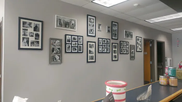 VCA Animal Care Hospital 9