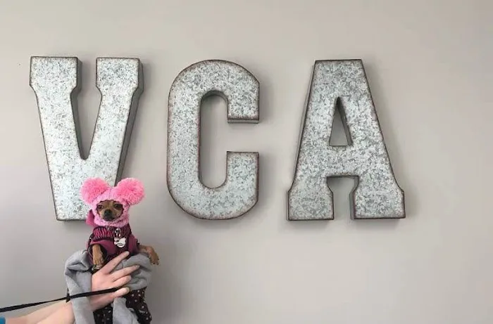 VCA Animal Care Hospital 3