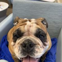 ValueCare Veterinary Clinic ico
