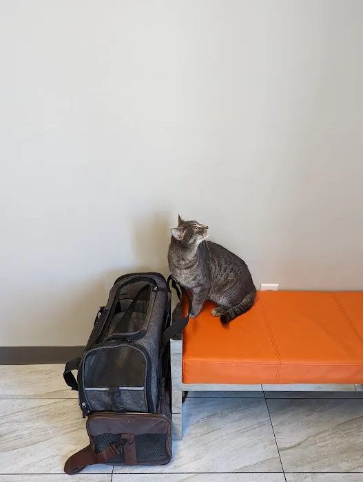 ValueCare Veterinary Clinic 3