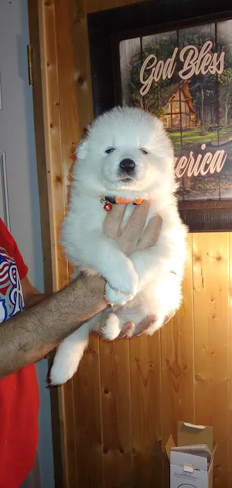ValueCare Veterinary Clinic 6
