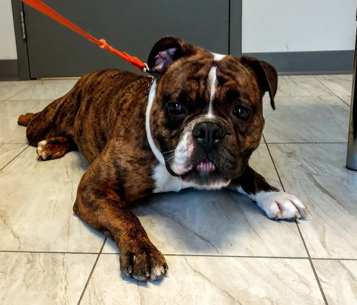 ValueCare Veterinary Clinic 7