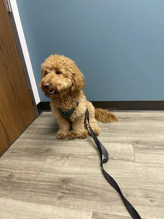 Woodlake Veterinary Hospital 12