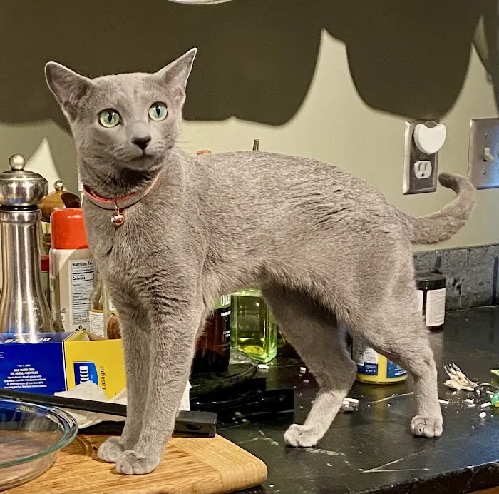 Woodlake Veterinary Hospital 12