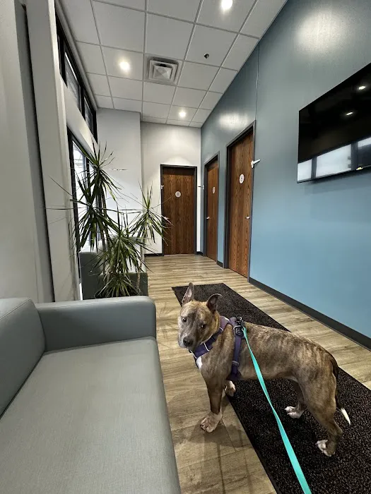 Woodlake Veterinary Hospital 12