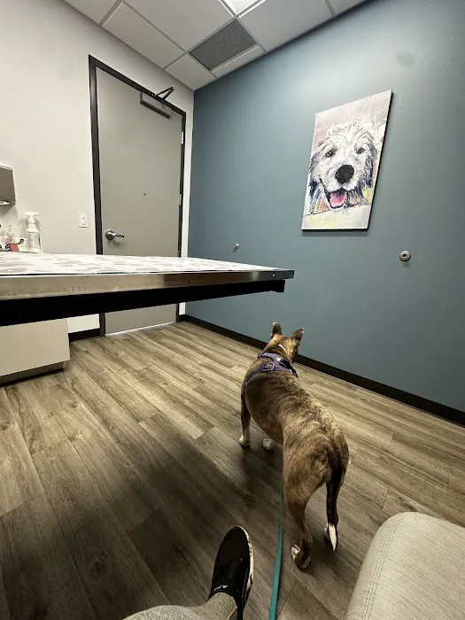 Woodlake Veterinary Hospital 12