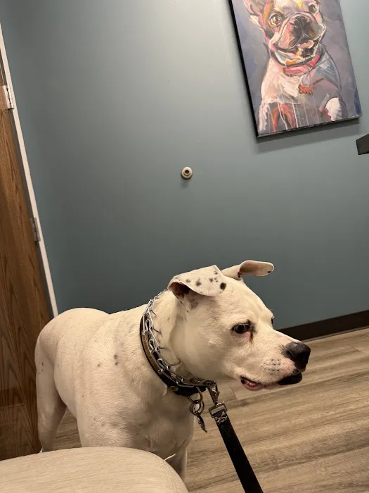 Woodlake Veterinary Hospital 12