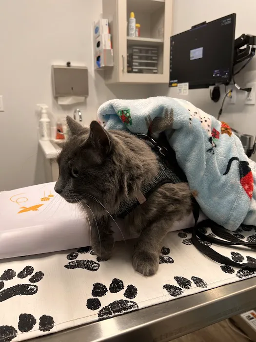 Woodlake Veterinary Hospital 12