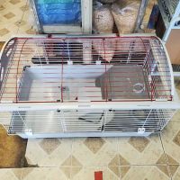 Woodlake Veterinary Hospital: Onffroy Joan R DVM ico