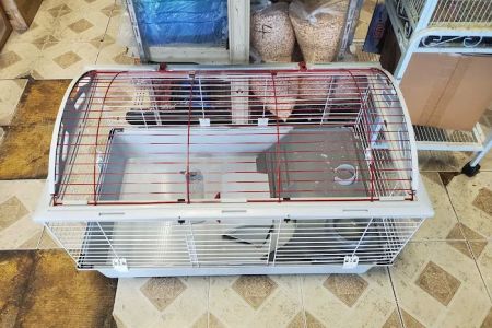 Woodlake Veterinary Hospital: Onffroy Joan R DVM