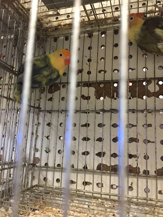 Woodlake Veterinary Hospital: Onffroy Joan R DVM 12