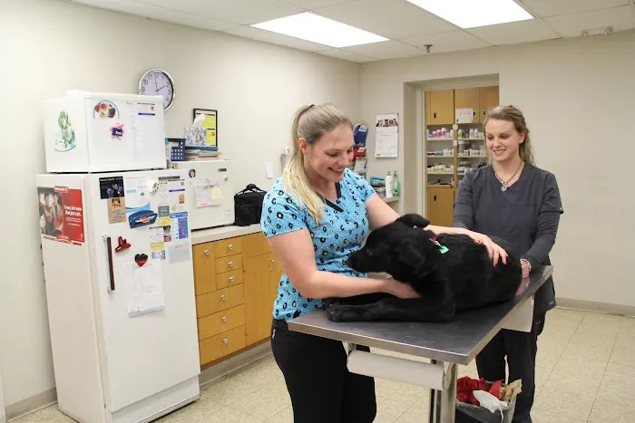 Vetco Total Care Animal Hospital 10