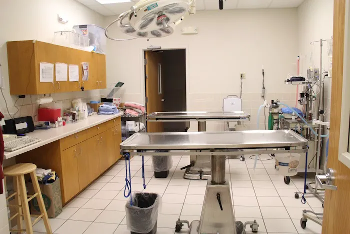 Vetco Total Care Animal Hospital 7