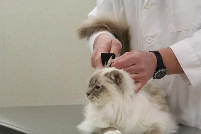 Vetco Total Care Animal Hospital 4