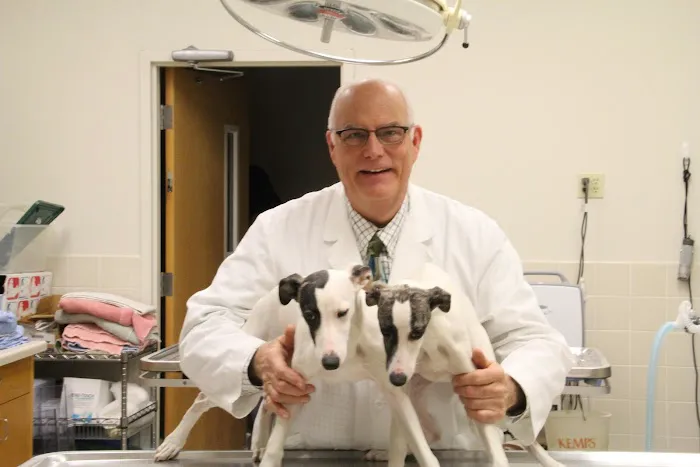 Vetco Total Care Animal Hospital 3