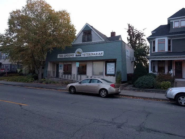 Uptown Veterinarian 5