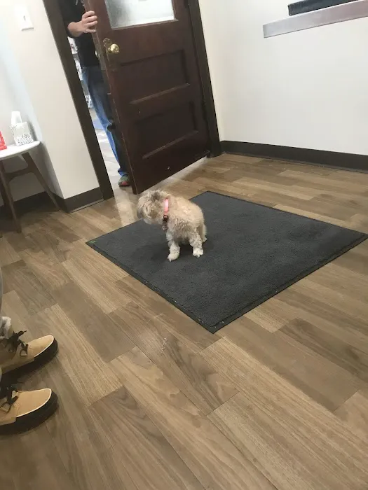 Uptown Veterinarian 3