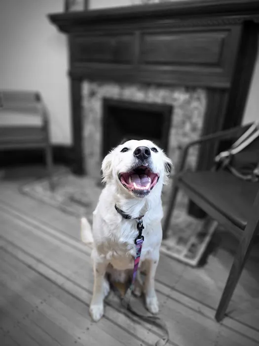 Uptown Veterinarian 2