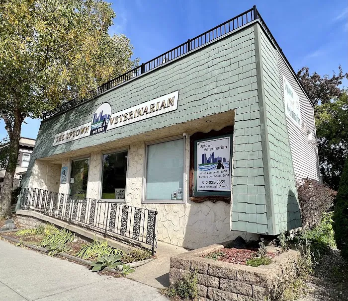 Uptown Veterinarian 6