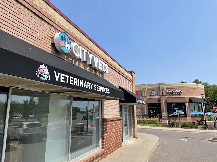 Cityscape Vets On Excelsior 5