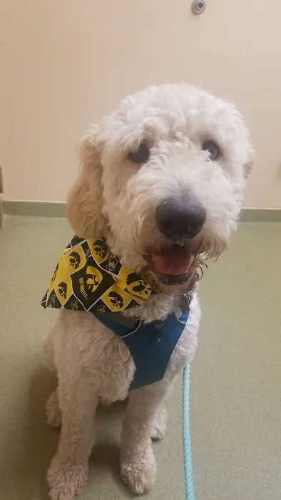 Westgate Pet Clinic 1