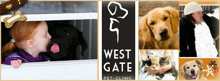 Westgate Pet Clinic 6