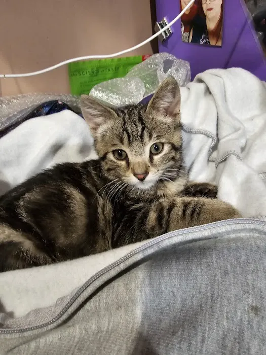 Animal Humane Society Veterinary Center 1