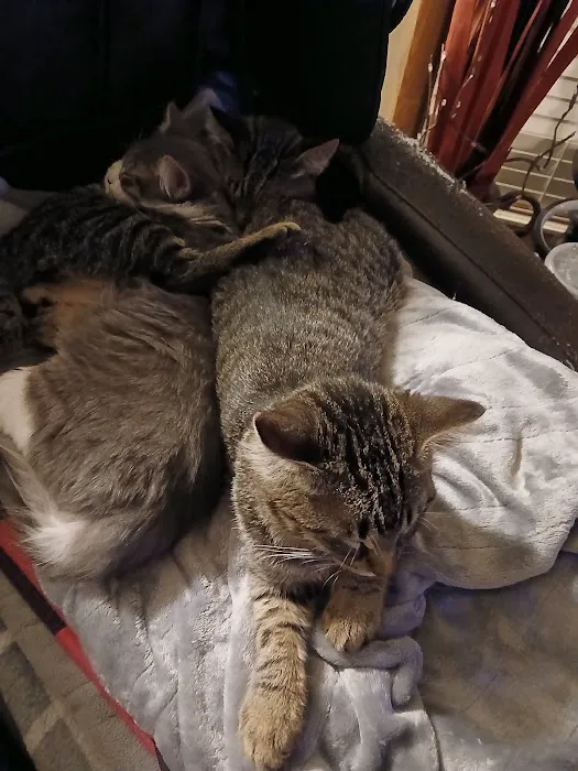 Animal Humane Society Veterinary Center 5