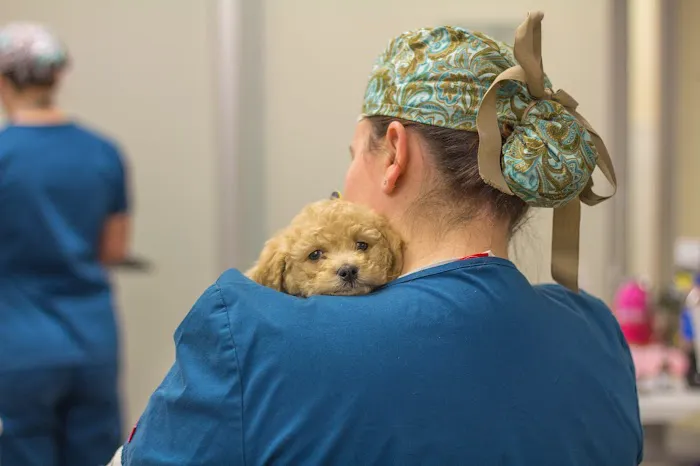 Animal Humane Society Veterinary Center 6