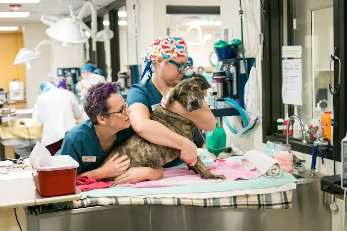 Animal Humane Society Veterinary Center 9