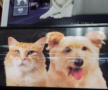 Pet Supermarket
