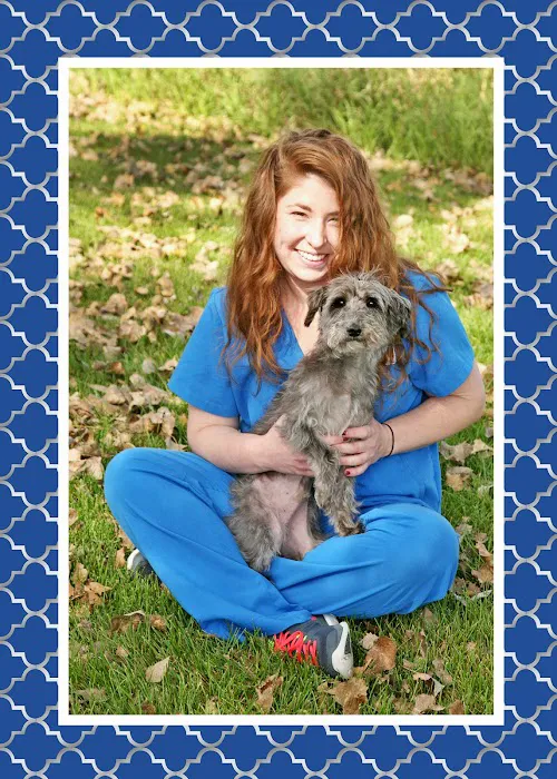 Apache Animal Hospital 6