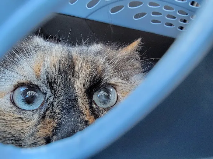 Suburban Animal Hospital 9