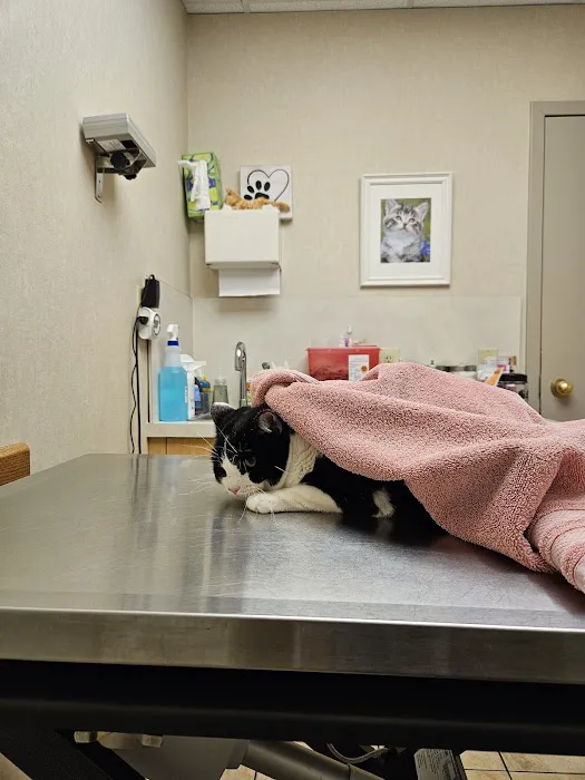 Suburban Animal Hospital 5