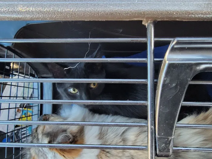Suburban Animal Hospital 4