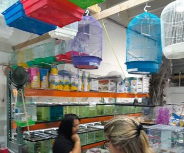 TOCO TOUCAN PETSHOP