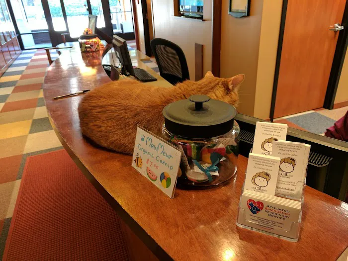 City Cat Clinic & Condos 4