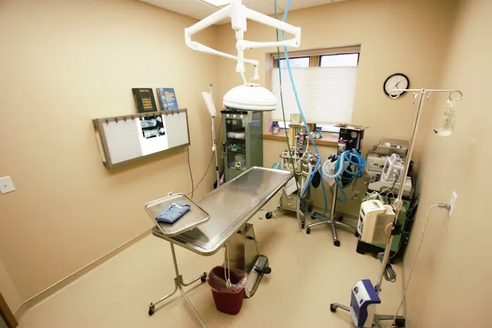 Camden Pet Hospital 7