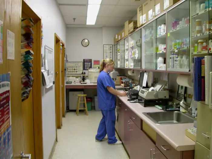 VCA All About Pets Animal Hospital 12