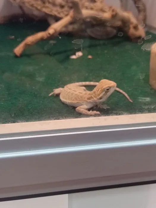 Pet Supermarket 9