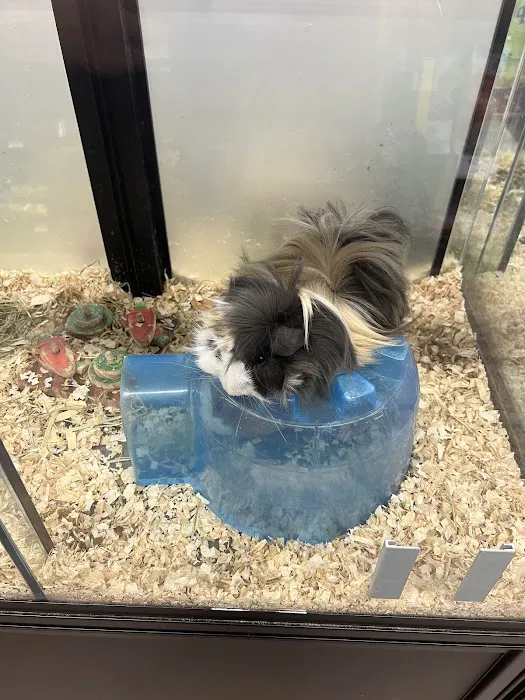 Pet Supermarket 4