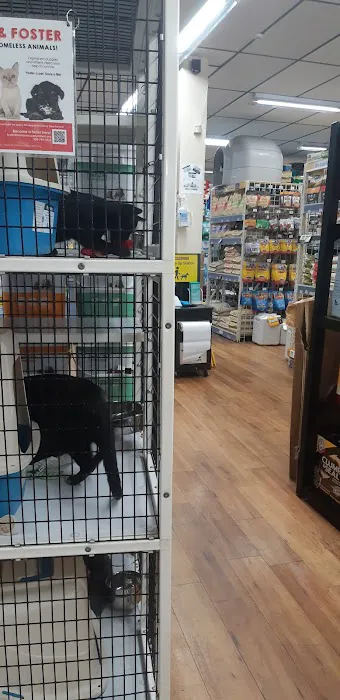 Pet Supermarket 5