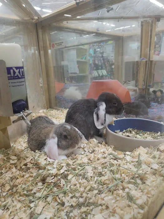 Pet Supermarket 8